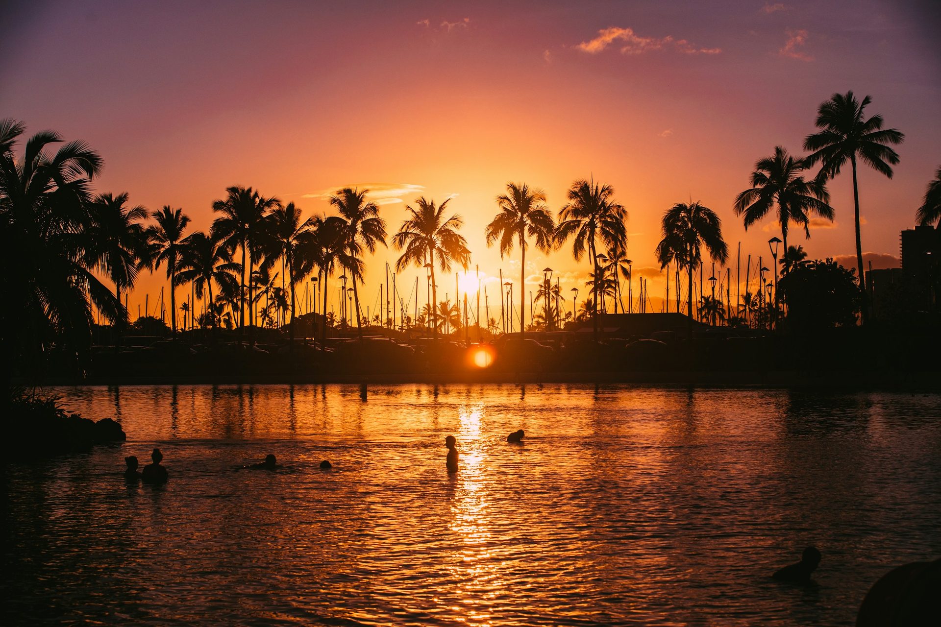 Silhouette of coconut palms at sunset — Kauai atmosphere stock photo, not the property itself